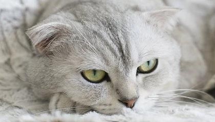 华体会hth-石油人整体实力明显增强，石油人出来了