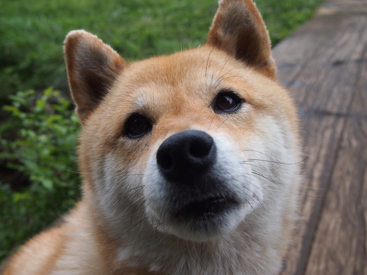 华体会hth登录地址-_极地冰雪游乐园：带你玩转冰雪奇趣_，极地馆和冰雪大世界能一天玩完吗