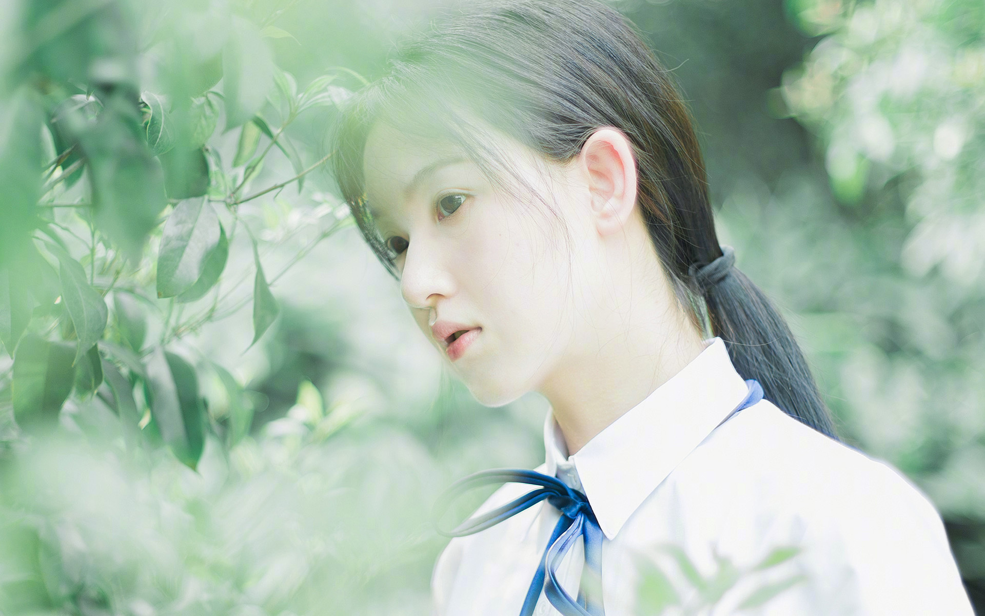 华体会在线-“全景成像、AR直播：科技让观赛体验变得更加沉浸和智能”，ar全景和vr全景区别