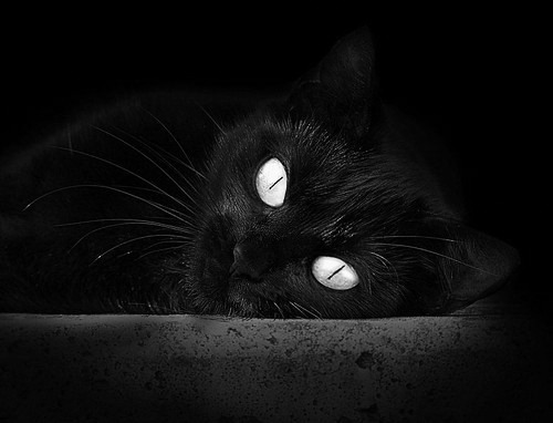 华体会登陆-《电竞赞助热潮不断，品牌全方位布局行业》，电竞比赛赞助商一般赞助多少钱