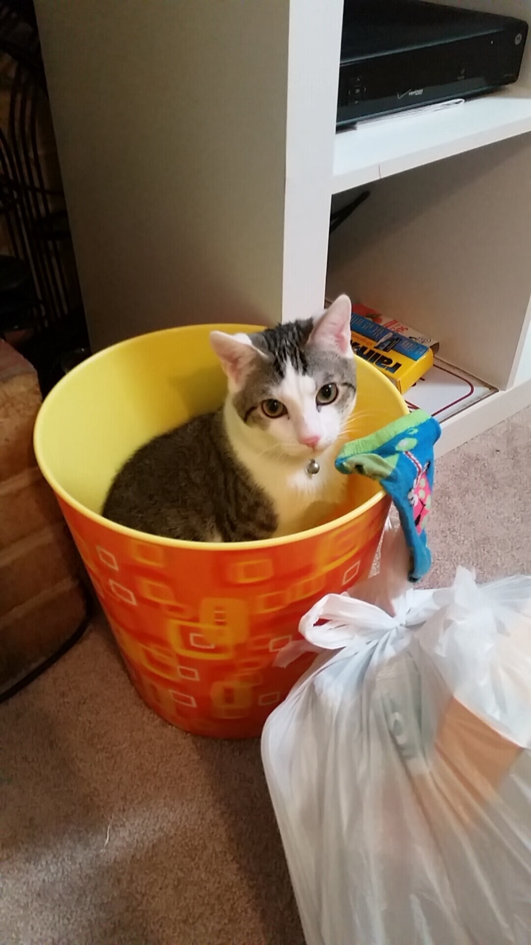 华体会hthapp登入-公牛赢得关键战！，公牛赢得关键战绩的原因