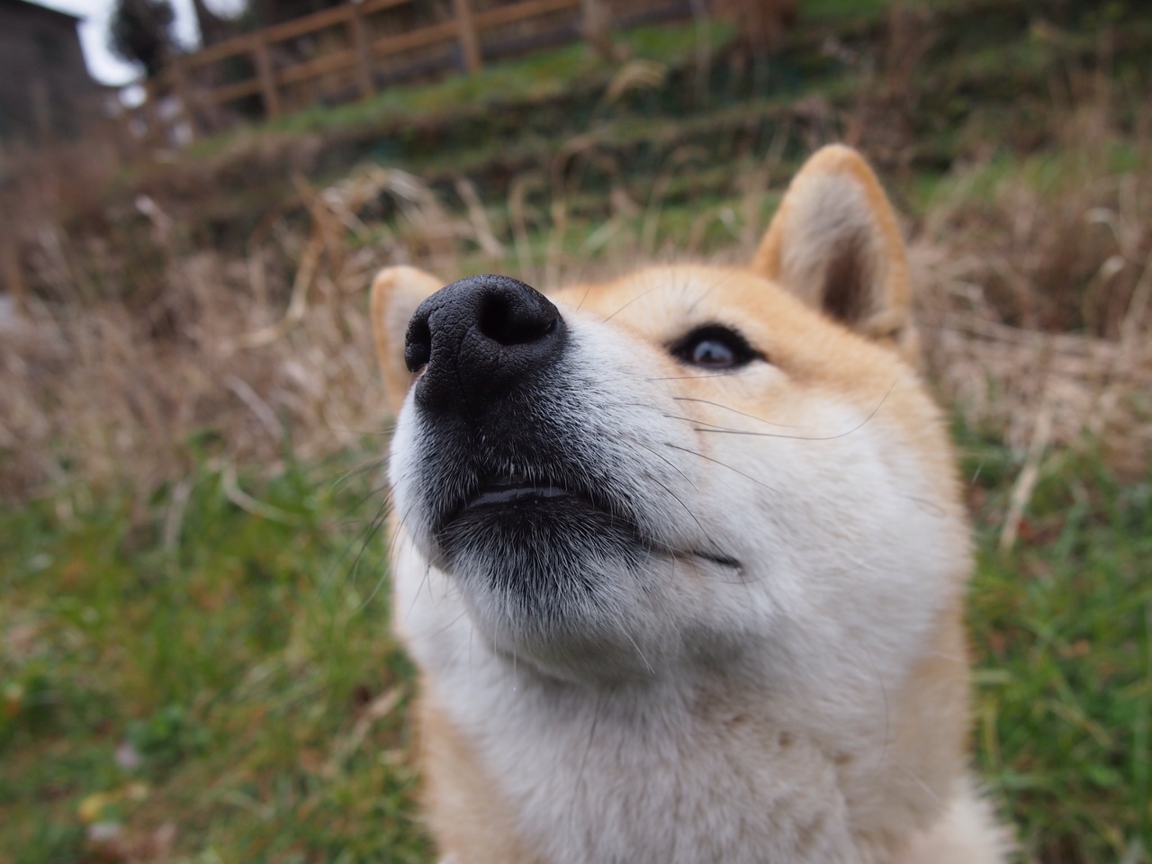 全面推动“足球+旅游”产业融合,打造多产业联动发展新平台,足球体育产业方案