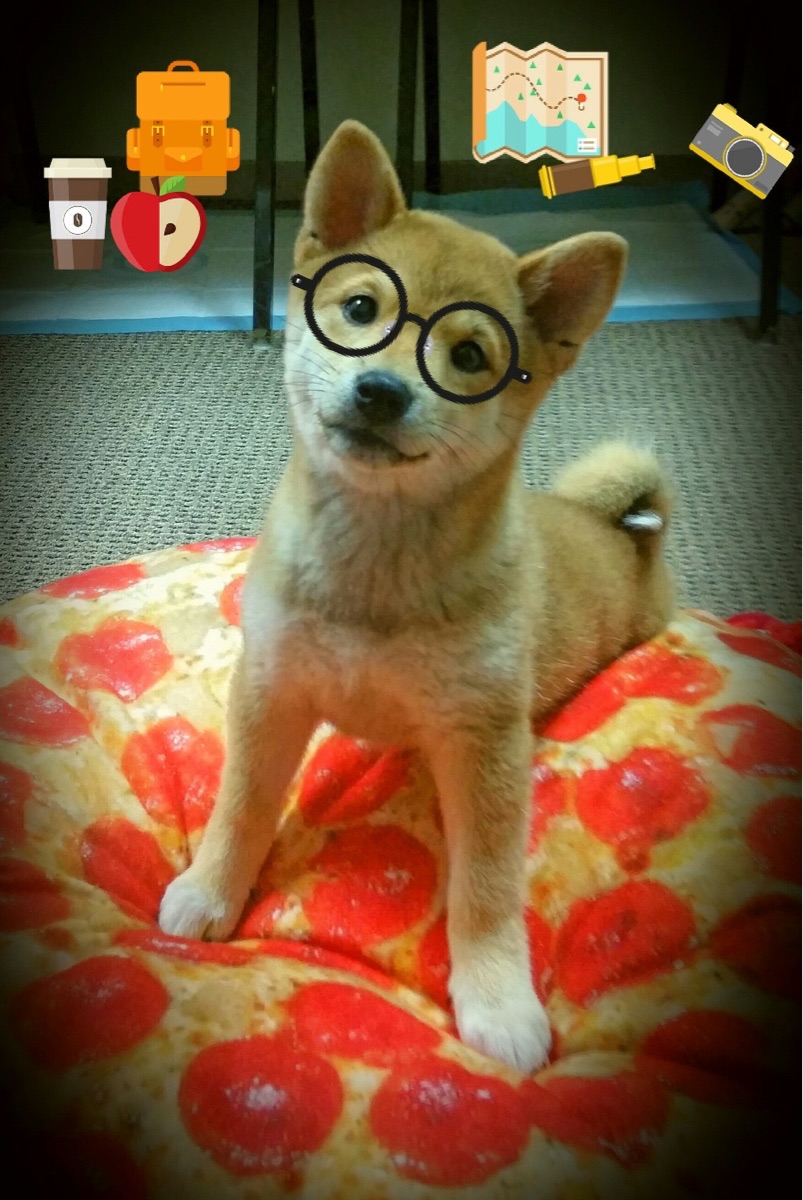 华体会hth娱乐平台-全国青少年“篮球未来星”技能大赛在南京精彩落幕，未来篮球俱乐部怎么样