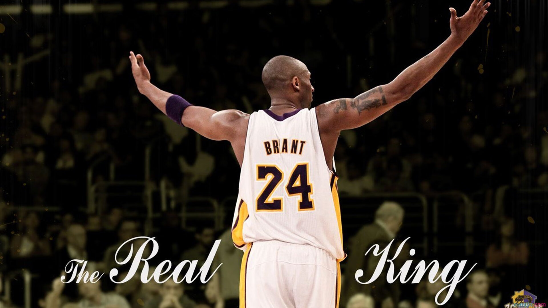 历史瞬间:那些年球队赢得冠军的经典时刻,有没有球队全胜夺冠