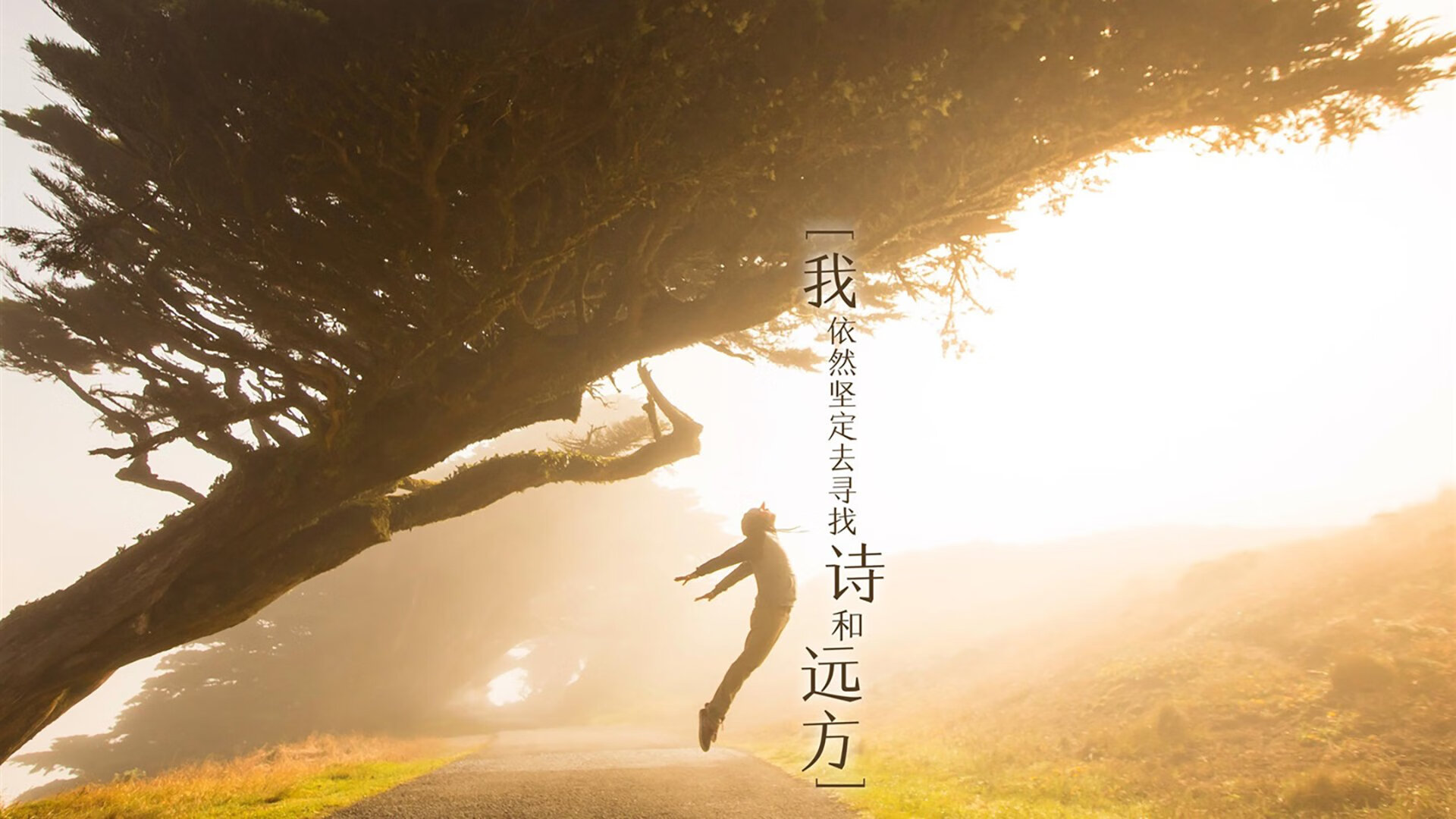 惊天逆转!王强末节连续三分,带队实现大逆袭!,王强去哪了