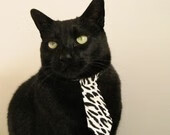 政府主导、多部门协同、全社会参与、全民共建共享的“大群体”格局初步形成