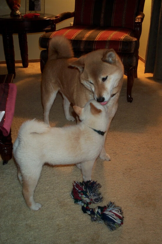 球队协作:北京队总助攻数高达22次,团队配合见长!,北京球队足球