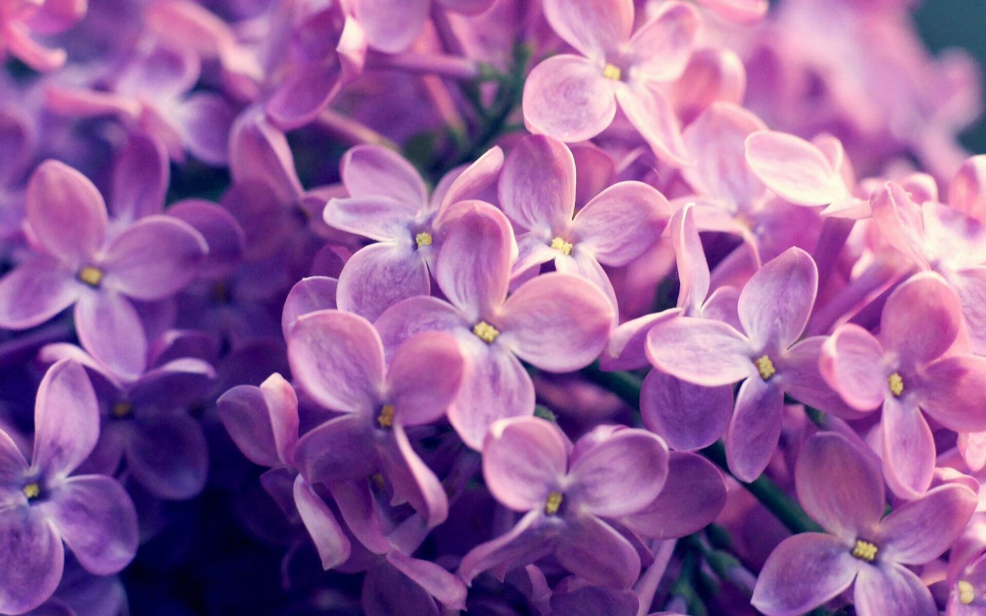 青少年“技能+素养”提升工程在全国多地同步推进,行业基础越加坚实