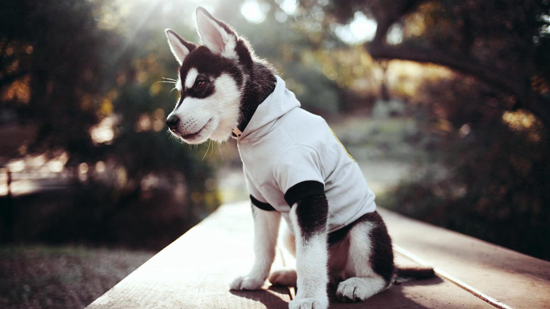 华体会hthapp下载入口-阿根廷世预赛战胜智利和哥伦比亚，巩固榜首，阿根廷与智利世预赛直播