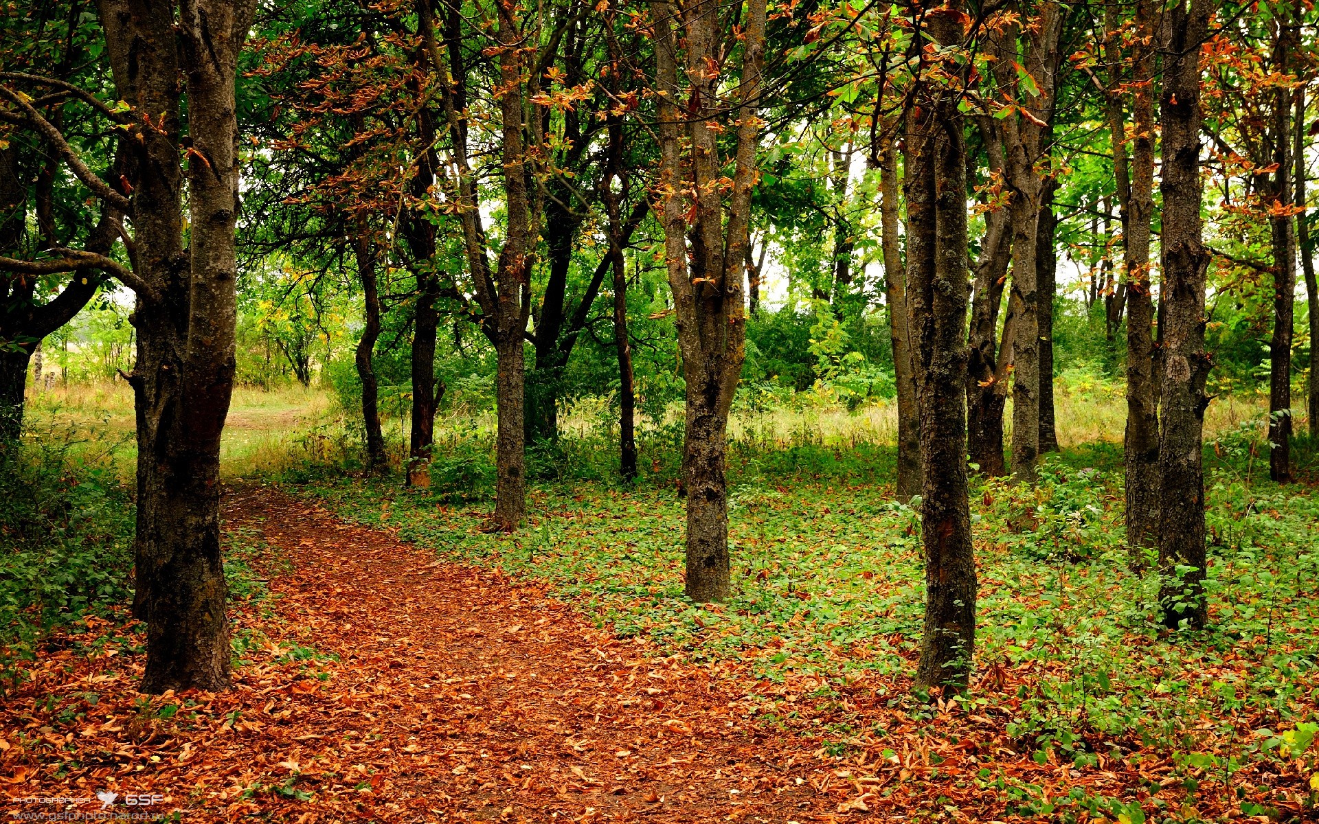 RNG训练营全力备战,rng战队训练基地
