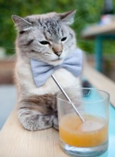 中超联赛媒体传播是否吸引观众,中超合作媒体