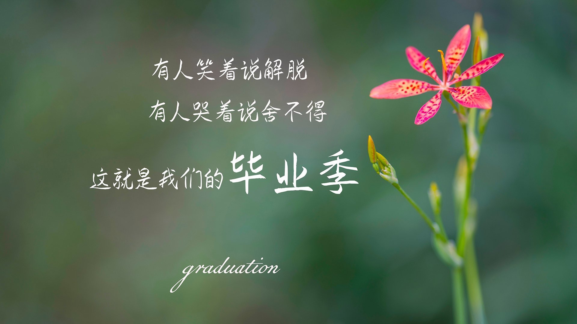 华体会hth登录-墨西哥男足在巴黎奥运会比赛中以1-0战胜法国，奥运男足墨西哥对巴西比分预测