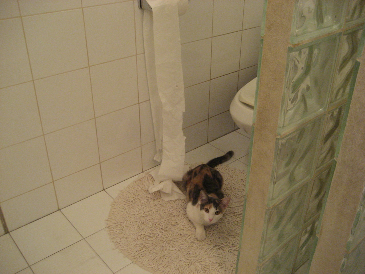 意甲是否能吸引更多国际投资关注，意甲分析推荐