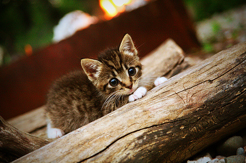 热火逆转森林狼，季后赛首轮中巴特勒完成三双，森林狼巴特勒球衣