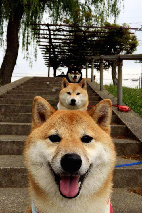 热火进攻流畅击败活塞，热火战术