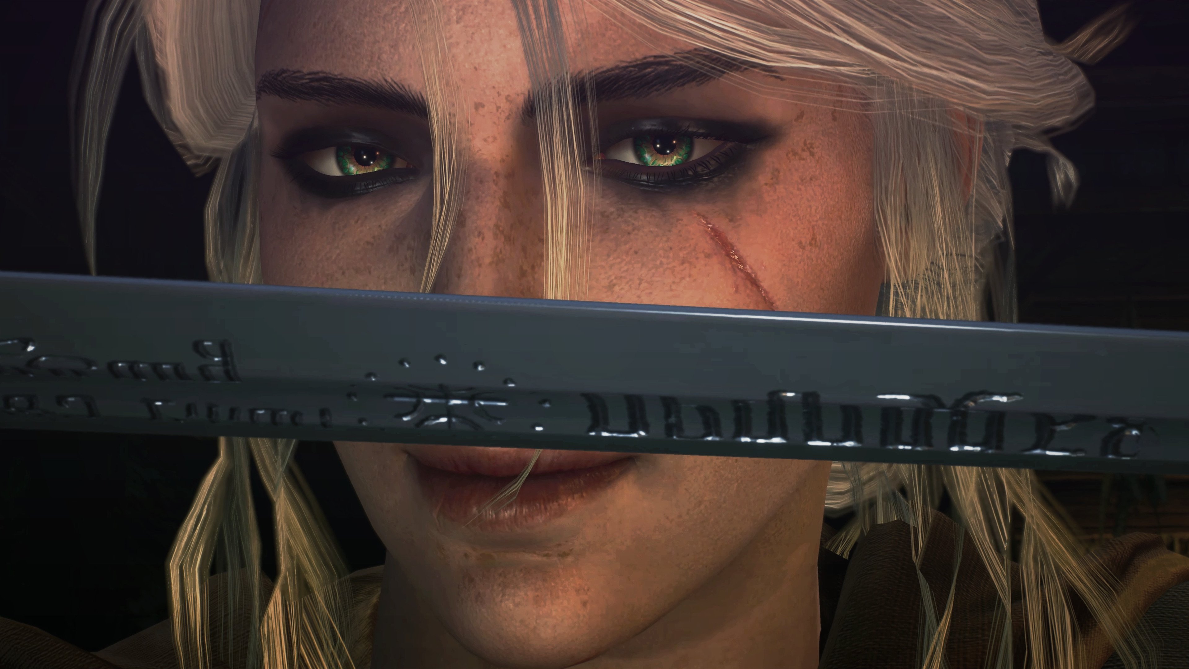 瑞士马术协会与美洲马术协会合作，举办国际马术交流活动，促进文化互鉴。