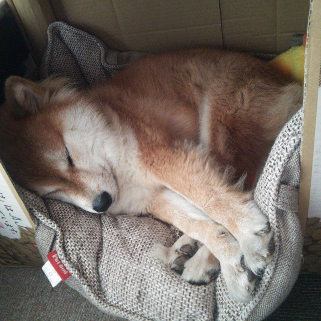 中超比赛节奏断裂点识别策略，中超抢断榜