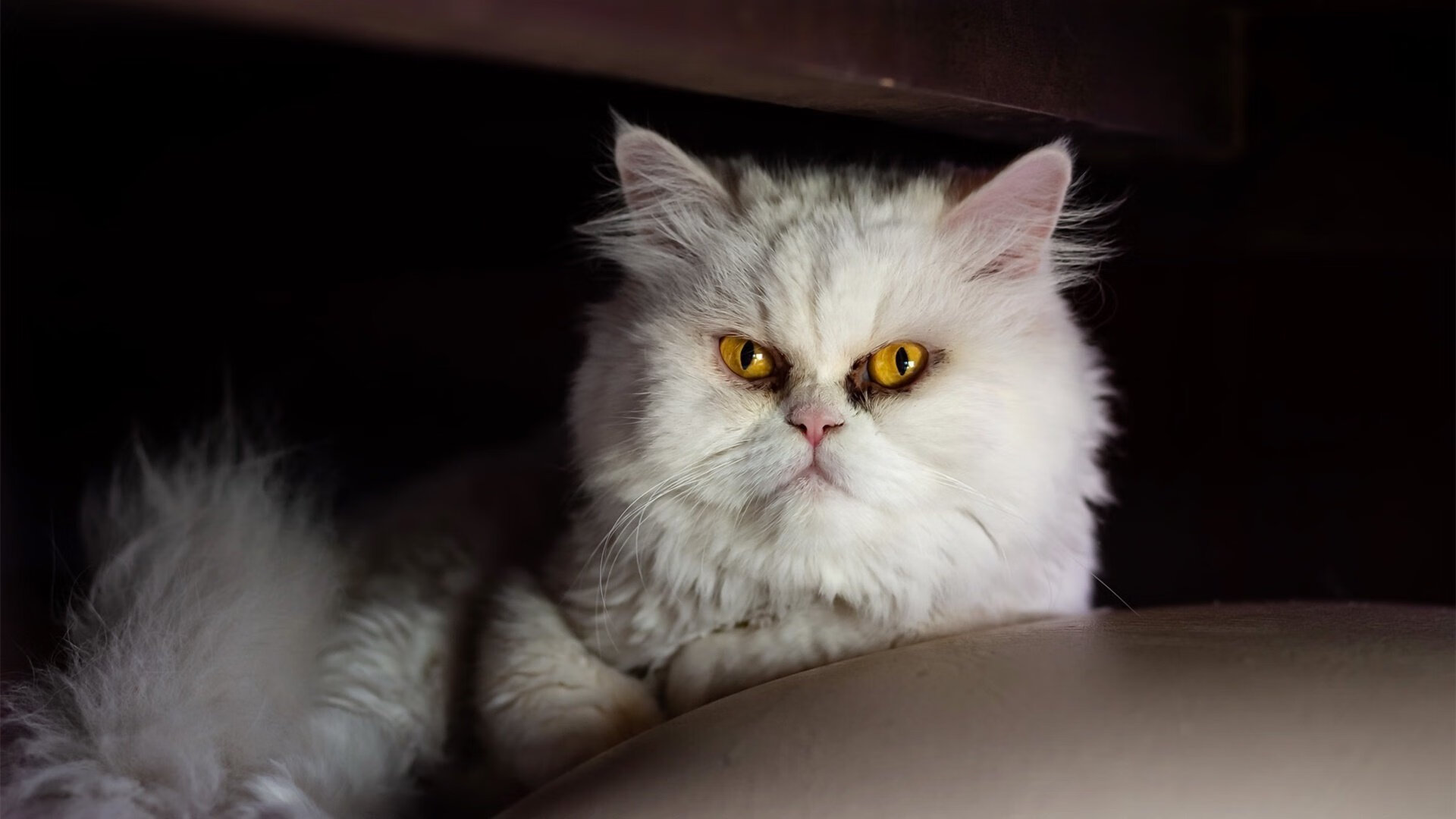 中超出战国际热身赛 复仇结局令人意外，中超球队热身赛