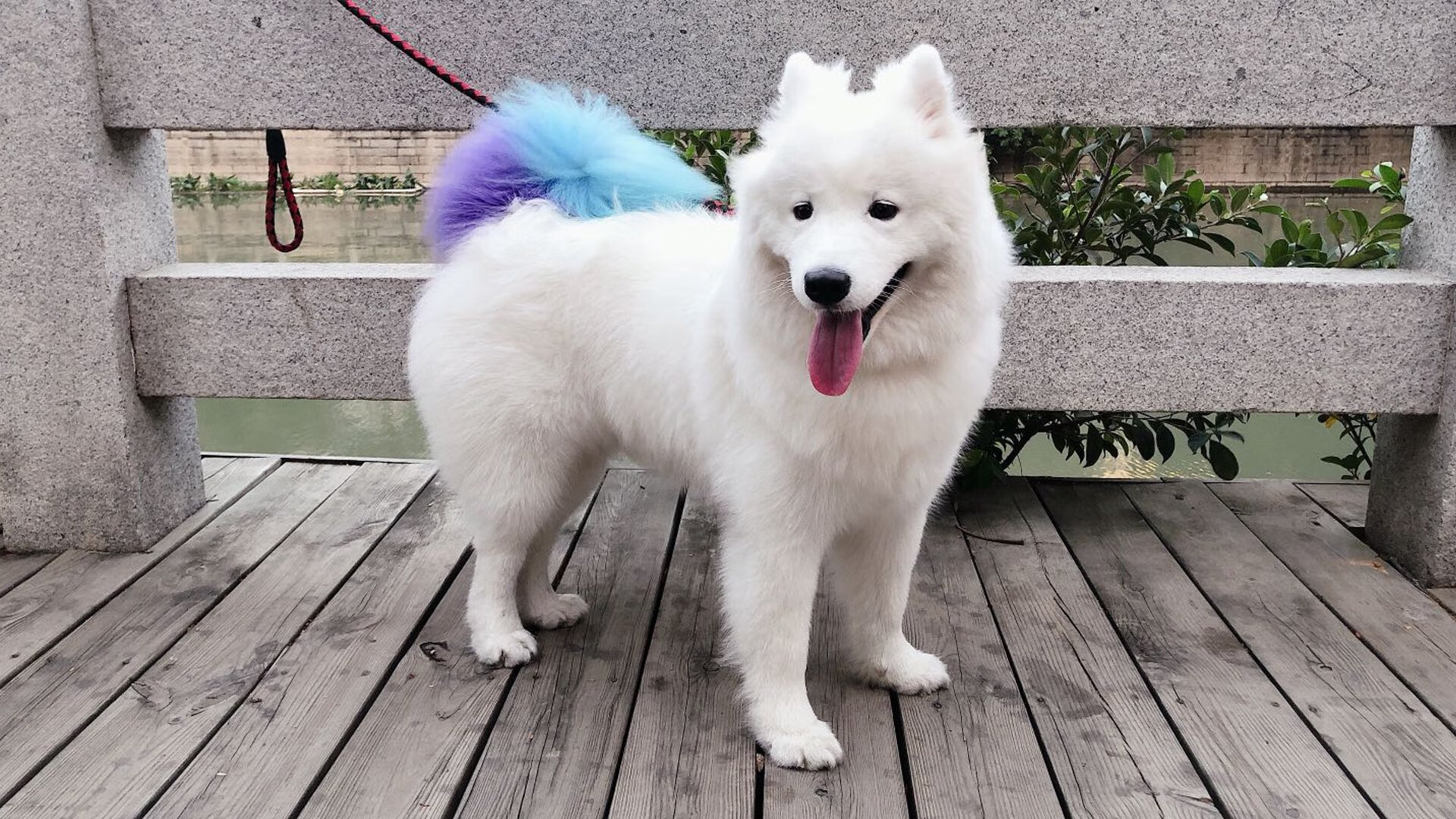 体育新闻中心上线体育内容多端分发智能管理系统,体育新闻专题报道