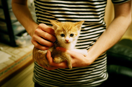 足球赛场团队配合更加默契，足球的团队配合