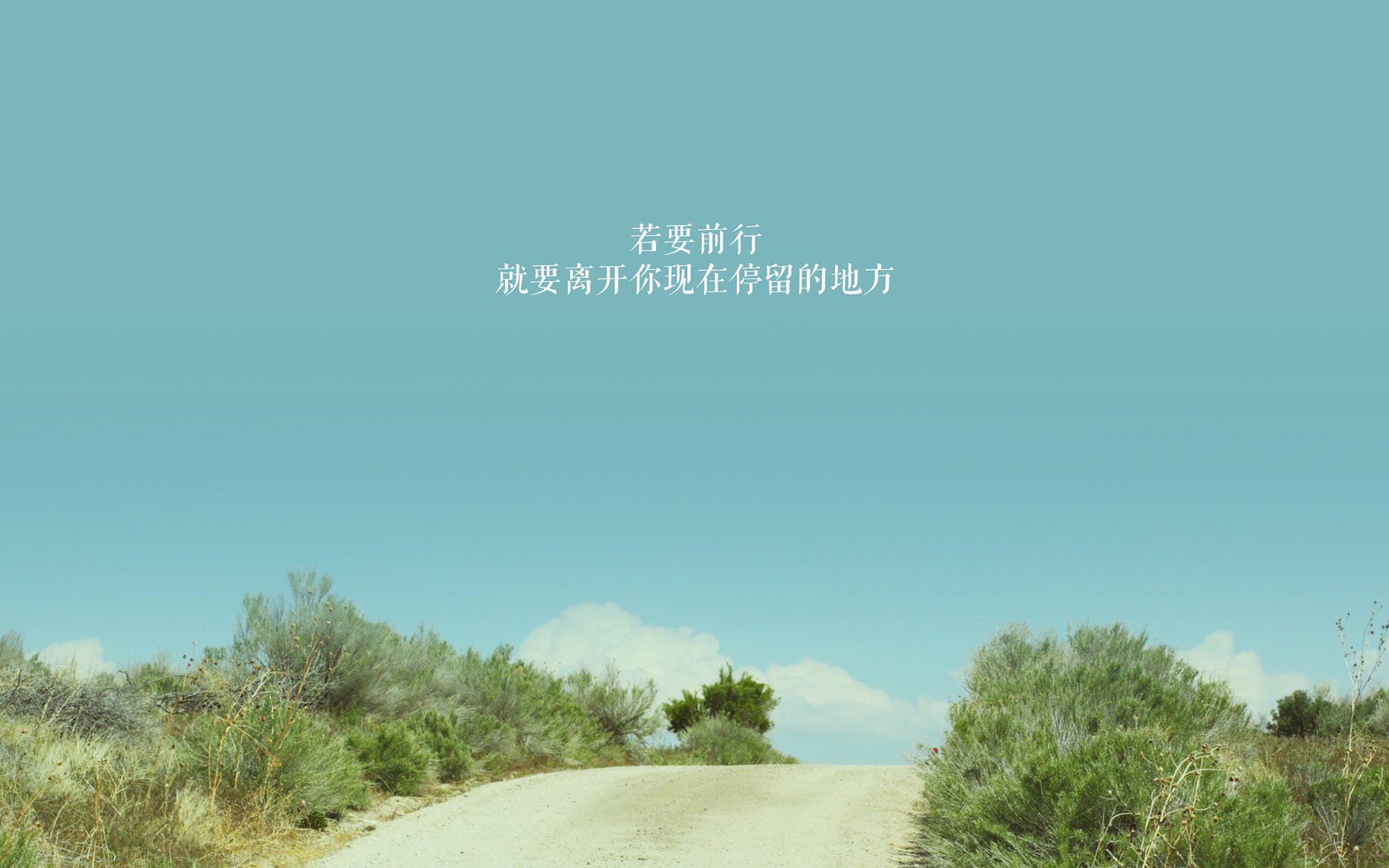 世界杯惊天逆转:奇迹瞬间点燃全场!,世界杯的惊喜