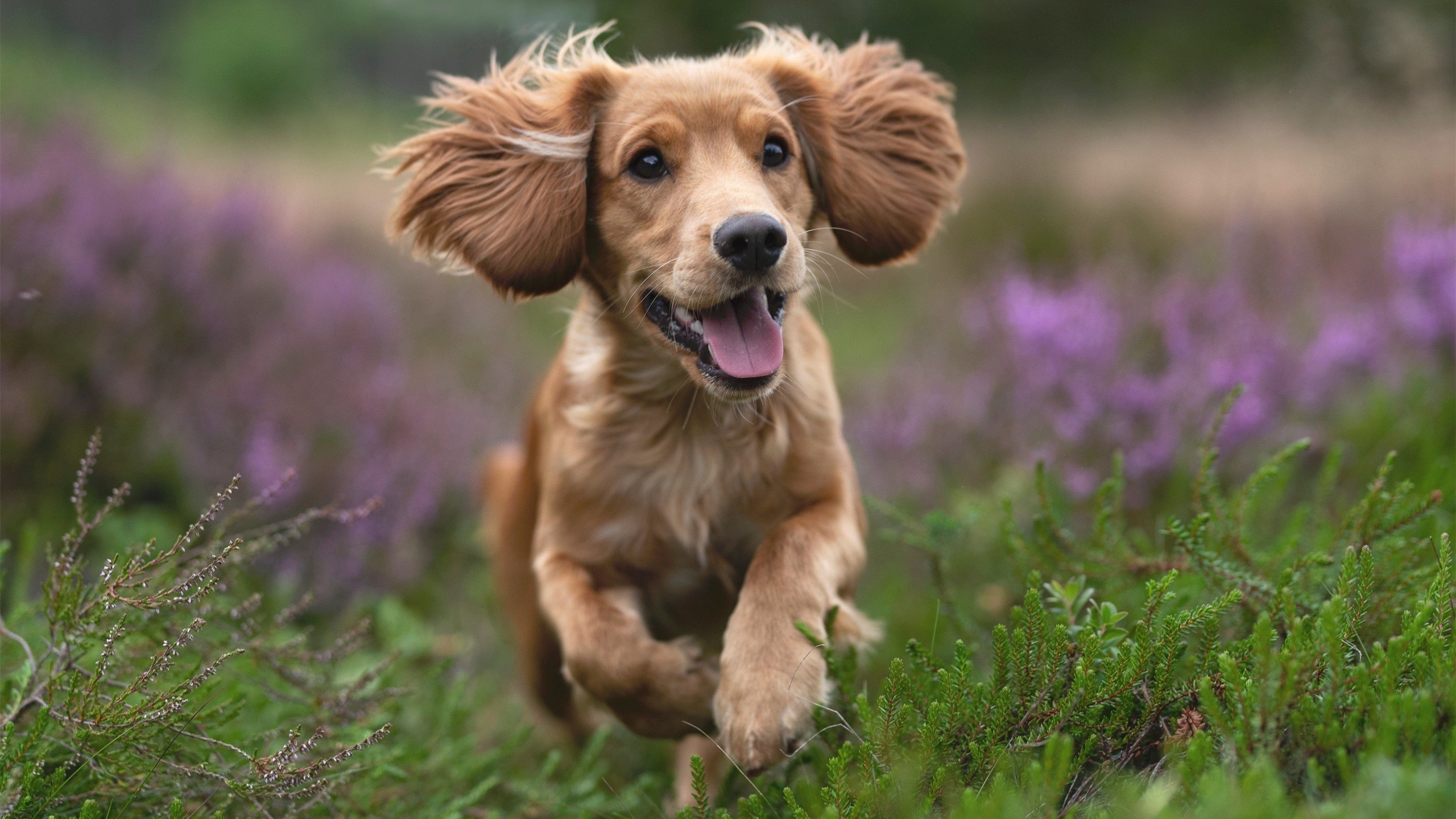 中立代表队B赛后分享比赛体会,中立代表队b赛后分享比赛体会与感受