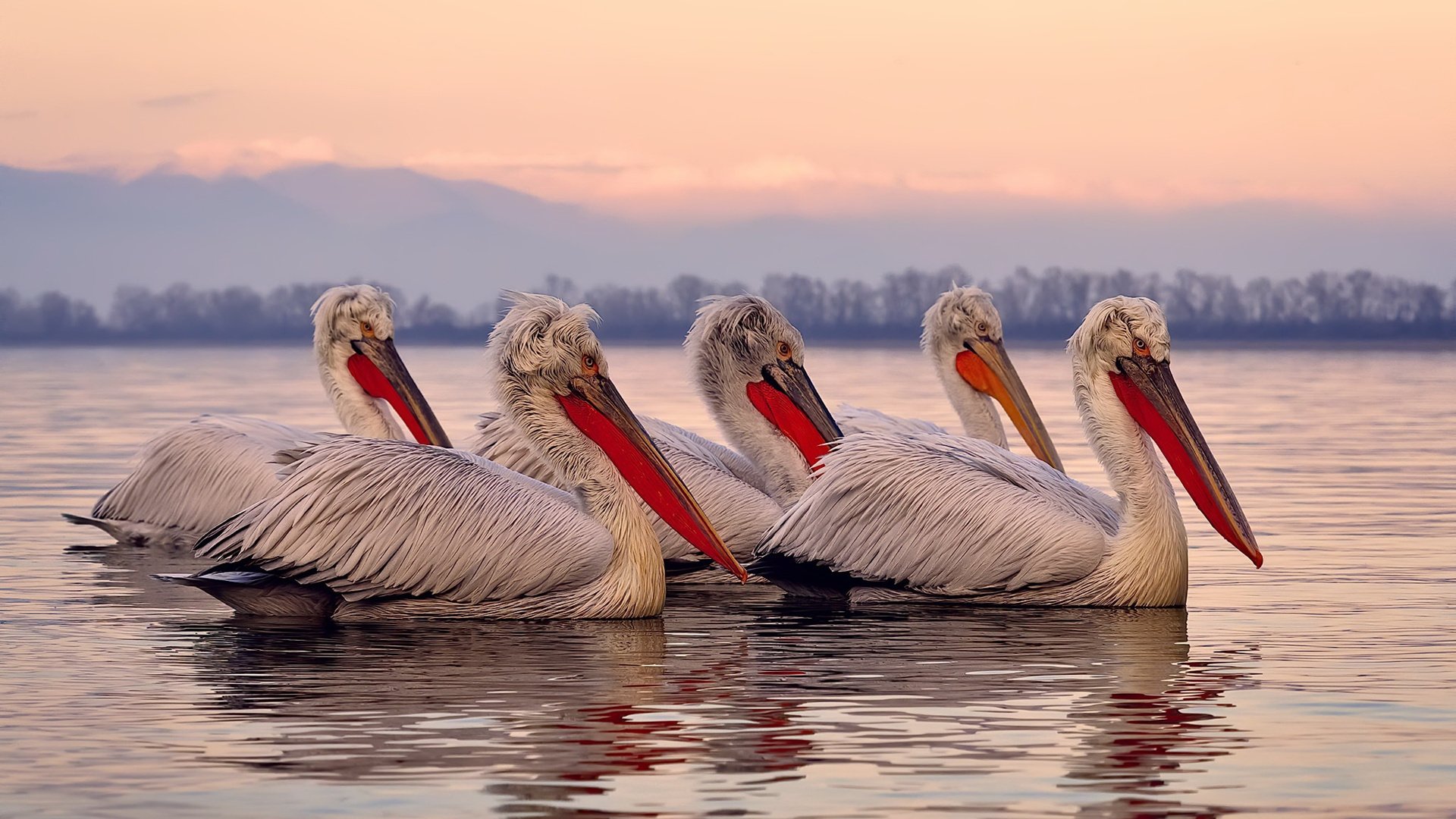 乌克兰男篮在欧洲锦标赛中表现出色，争夺奖牌从未停歇，乌克兰晋级欧洲杯之路