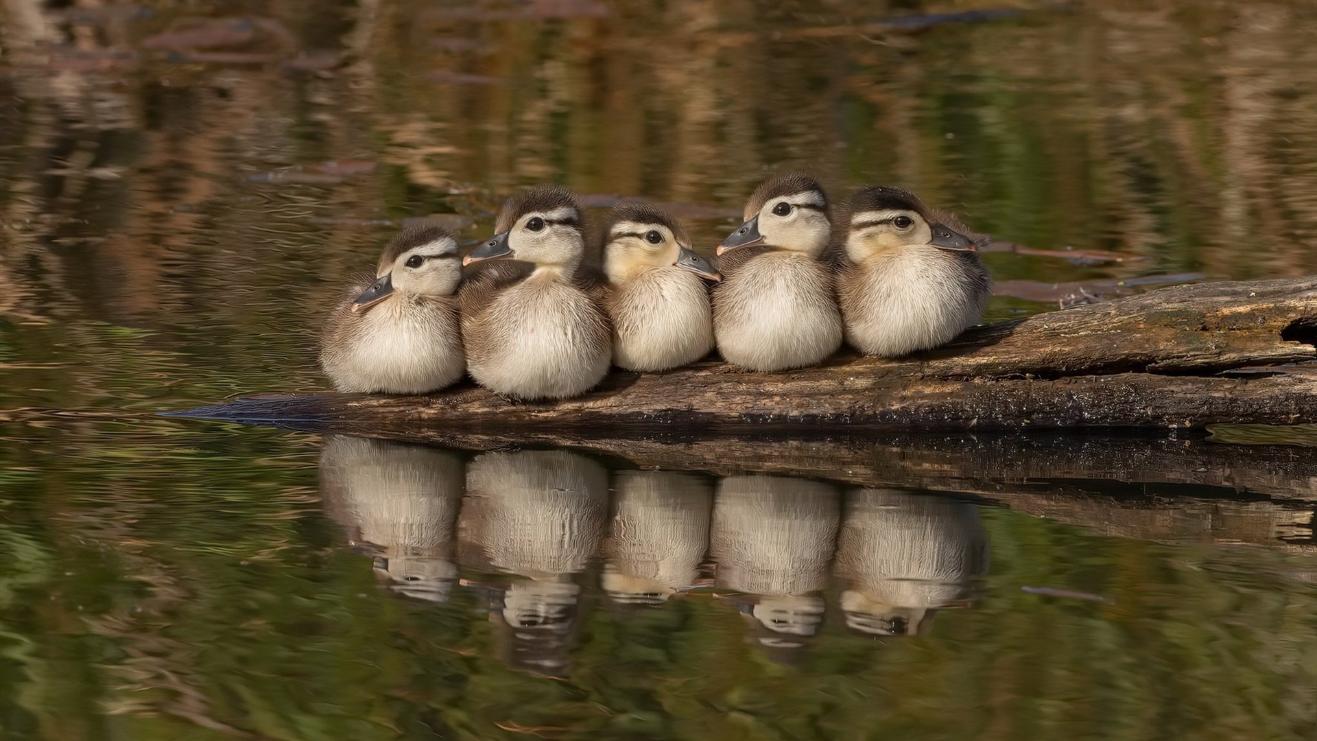 英超最燃比赛：上下半场不断反转，高潮迭起，英超最精彩比赛