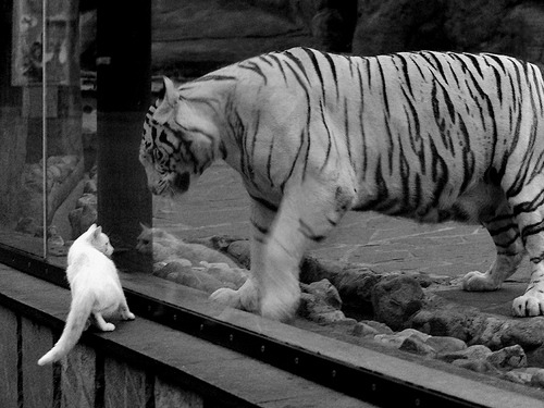 英超逆境反杀：不败战神的奇迹表现，英超最善于逆转的球队