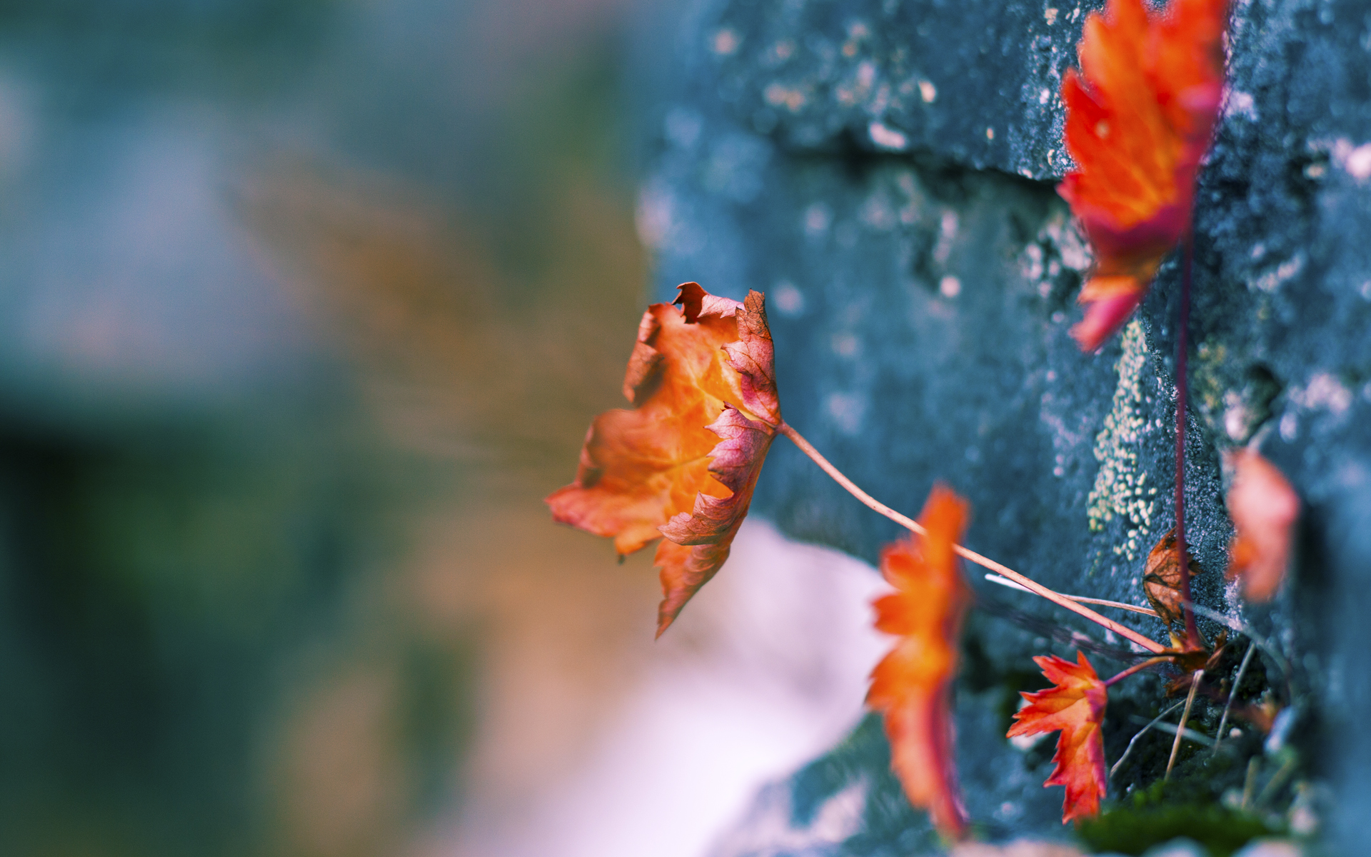 魔术边线发球战术成功助力关键进攻,边线发球世界难题